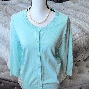 Talbots Light Blue Cardigan Sweater